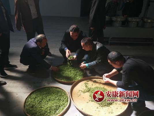 指導茶農(nóng)分葉.jpg