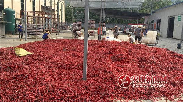 ttĮa(chn)I(y).jpg